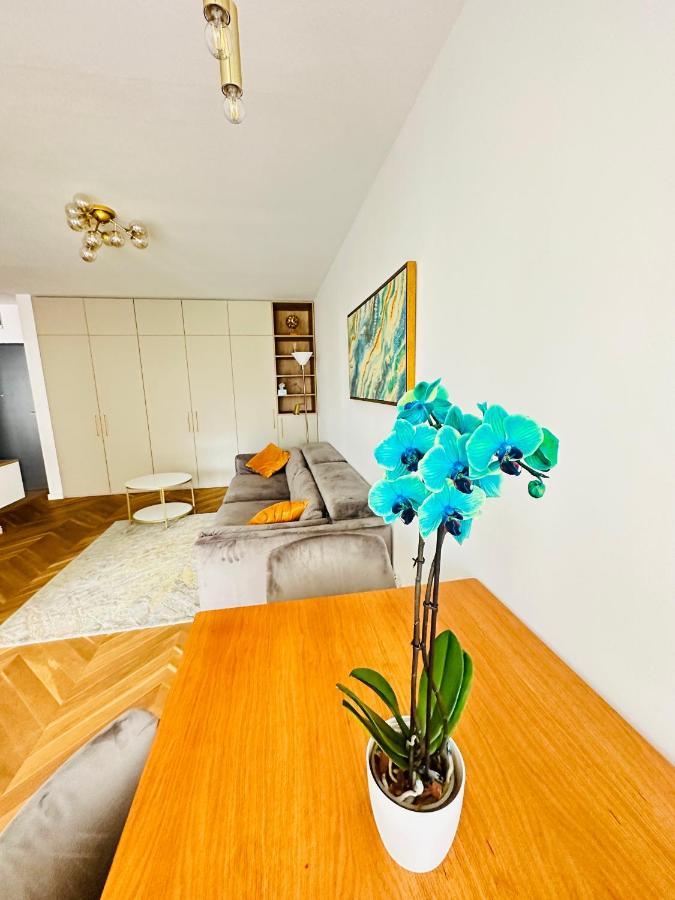 Bel Dom - The Central, Spacious 2 Rooms Luxury Apartment Kluż-Napoka Zewnętrze zdjęcie